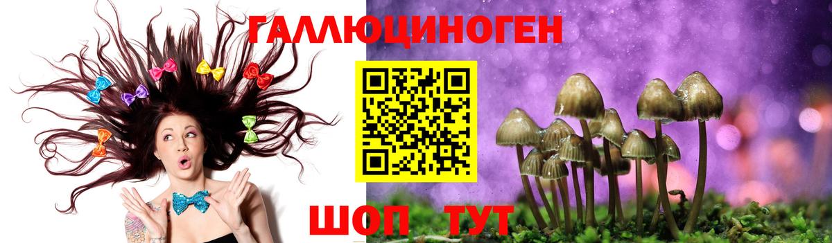 Псилоцибиновые грибы Magic Shrooms Вязники